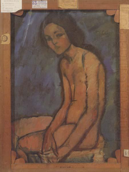 Amedeo Modigliani Nu assis (mk39) china oil painting image